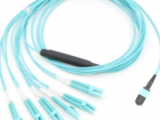 Na Vakayagataki ni Fiber e Vakawabokotaki ena Dauveibuli